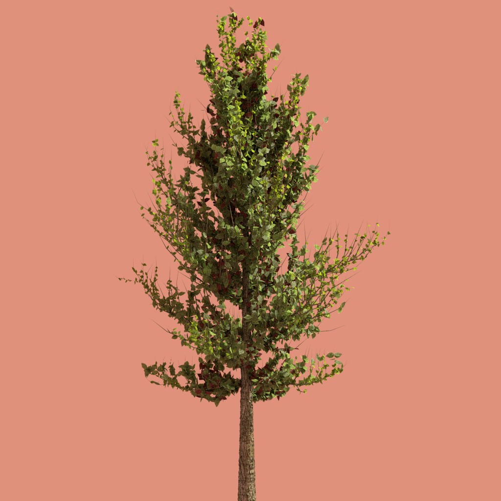 Realistic Tree in Cycles preview image 2